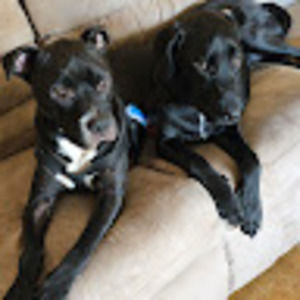 Meet your Posher, Sherry